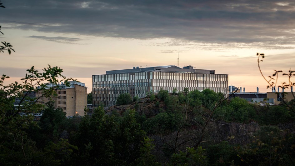 Natrium Göteborg siluett av byggnaden mot himmel med skog i förgrunden 