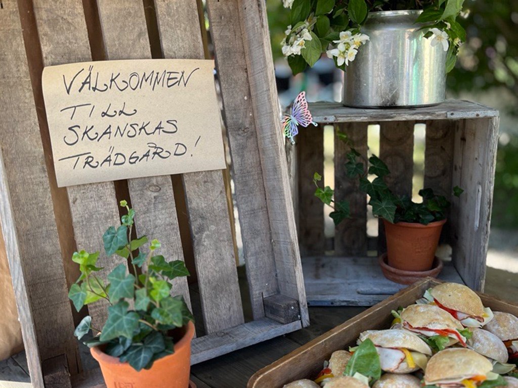 Skylt med texten "Välkommen till Skanskas trädgård" uppsatt på en trälåda. I förgrunden syns en blomkruka och färdiga mackor.
