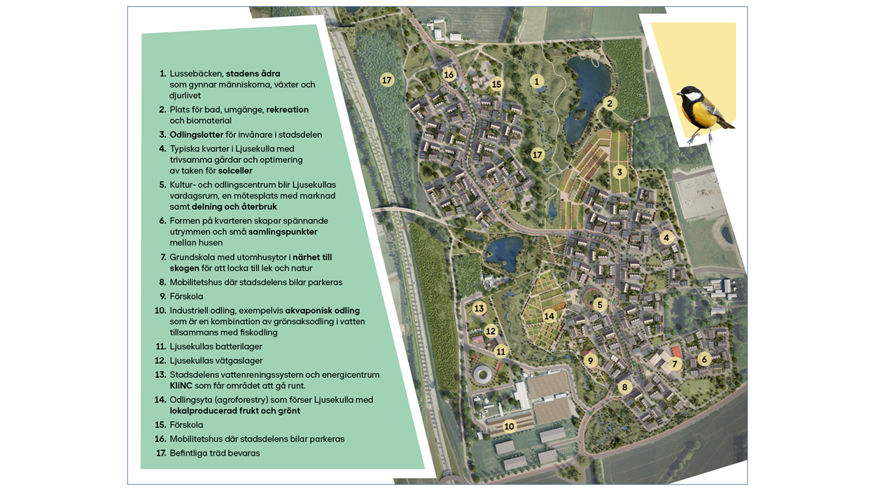 Plan över området Ljusekullla med bostäder, skolor, odlingsytor med mera.