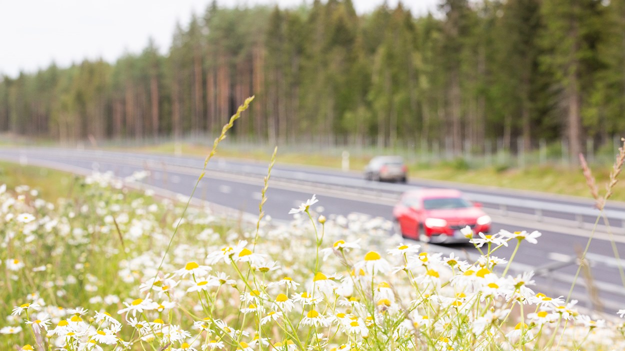 Trafiksäkerheten har förbättrats markant. Nu har ytterligare en mil av E20 blivit mötesfri och fått mitträcke.