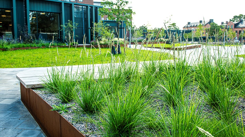 Utemiljön är grön och bjuder in till umgänge. Hedda Andersson gymnasiet i bakgrunden med en rabatt.