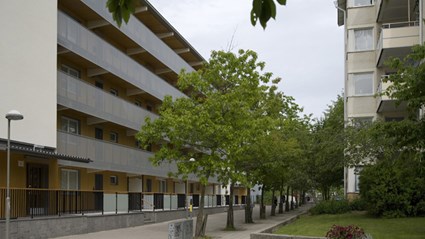 Kv Molde