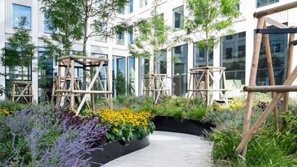Hyllie Terrace has a lovely wind-protected courtyard facing south with great biodiversity.