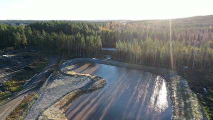 Daggvattendammar, ängssådd och nya livsmiljöer för insekter och andra djur är några åtgärder för att minska påverkan på biologisk mångfald i Skanskas projekt Hammarängen Skellefteå Södra.