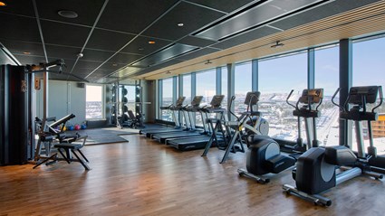 Hotellets gym har en vidunderlig utsikt. Foto Scandic