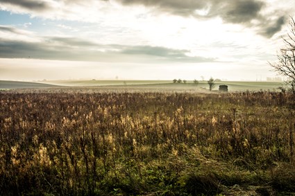 Jord som vi har grävt upp, har förädlats med mull och återanvänts i projektets planteringar. Foto: Kristina Strand Larsson, Lunds kommun.