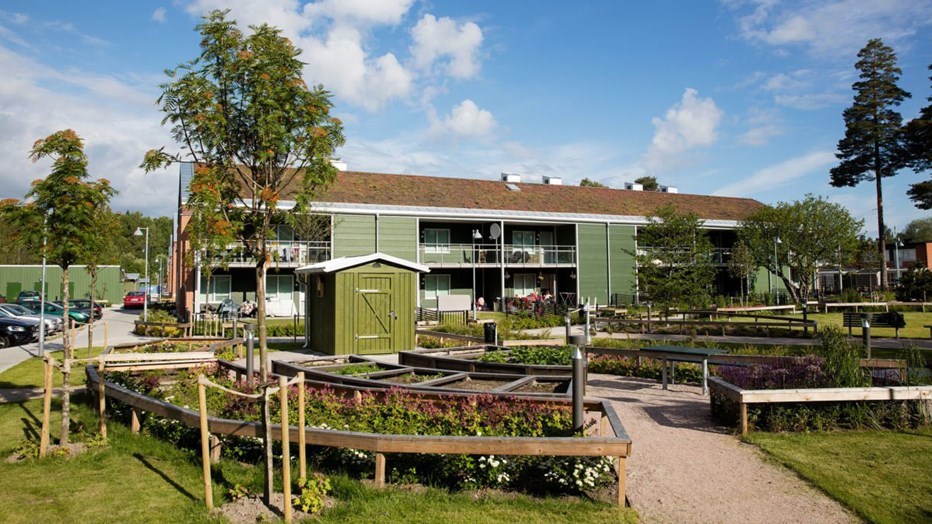 We gave the houses in My Green Quarter new roofs with sedum coating. We gave the houses in My Green Quarter new roofs with sedum coating.
