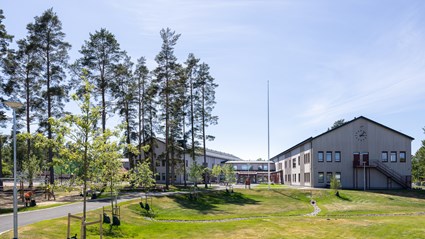 Den nya skolan omges av grönska och ytor för lek och rörelse.