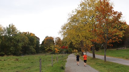 Nationalstadsparken består av ekskogar, parker, sjöar och slott som stockholmarna kan njuta av året runt.