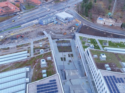 The houses have green roofs that make it easier for insects and plants to strengthen their dispersal routes.