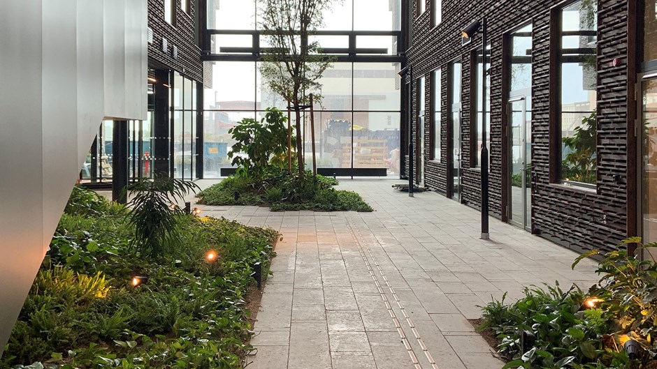 I kontorshuset Epics atrium i Malmö finns ett högt träd och regnskogsliknande vegetation.