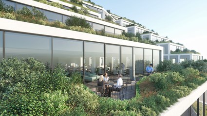 The terraces collect water and benefit biodiversity.