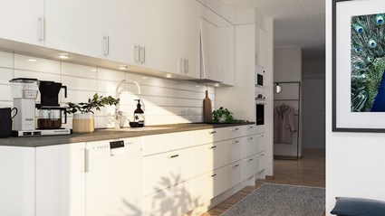The kitchen.