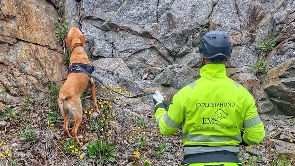 Hundförare från företaget Explosivhund med labradoren Sniff.
