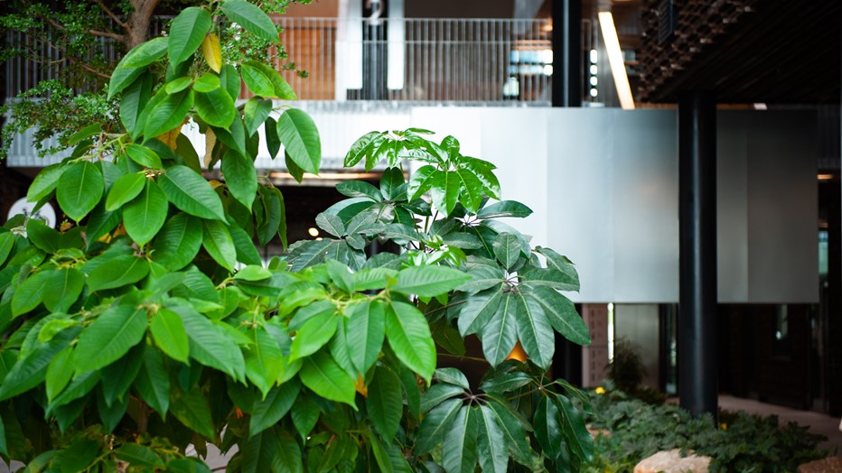 I Epic har vi utgått ifrån hur den byggda miljön påverkar oss I Epic har vi utgått ifrån hur den byggda miljön påverkar oss