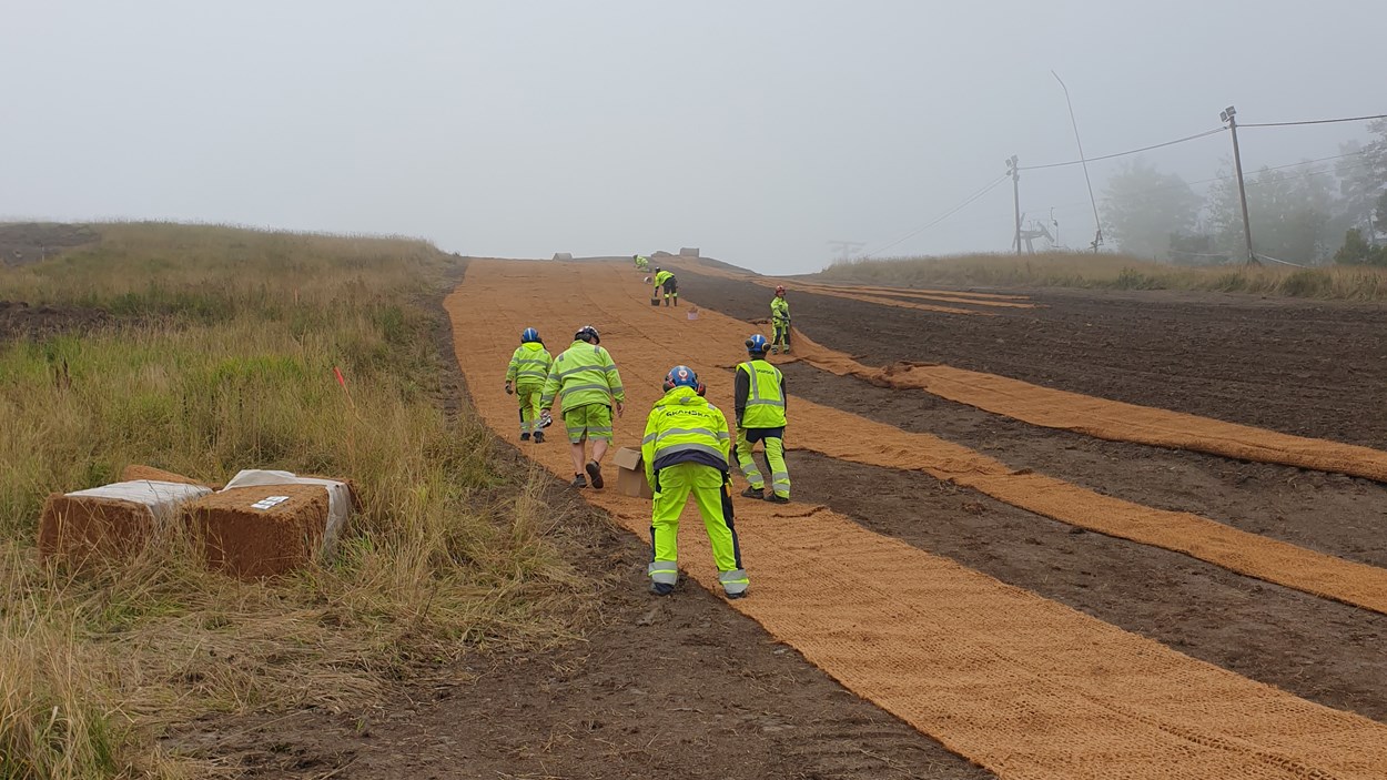 Skanskas medarbetare har sprungit upp och ner i backen och lagt ut 18 000 kvadratmeter kokosfiber som ska hålla jorden på plats.