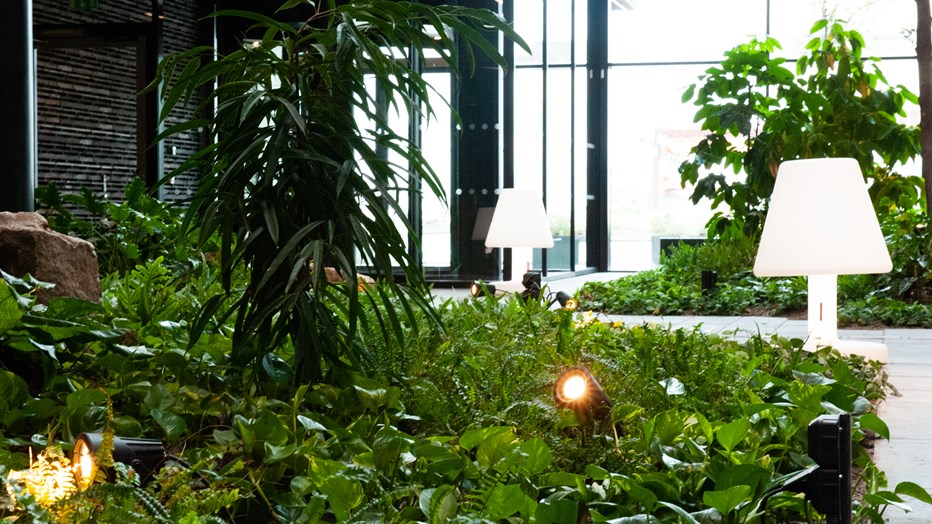 Natural sounds enhance the experience of tranquility in the atrium. Natural sounds enhance the experience of tranquility in the atrium.