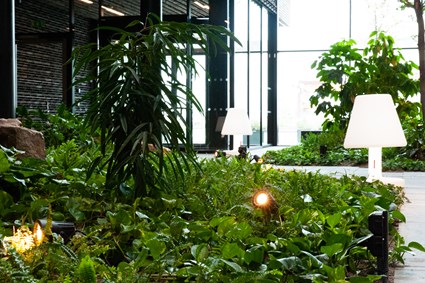 Natural sounds enhance the experience of tranquility in the atrium.