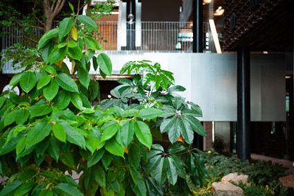 In Epic, we have focused on how the built environment affects us.
