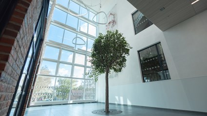 Trädet i entrén välkomnar patienterna och har en lugnande effekt.