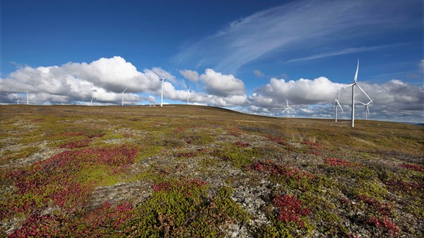 The Sjisjka wind farm